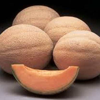 Athena Cantaloupe Seeds - Fruit Plant