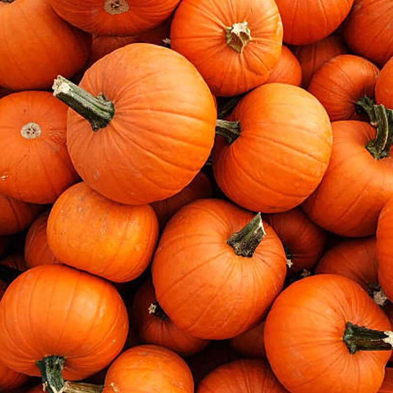 Baby Pam Pumpkin Seeds