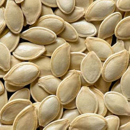 Baby Pam Pumpkin Seeds