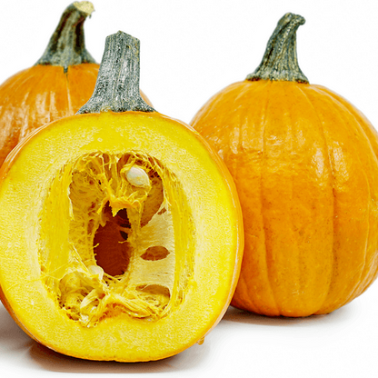 Baby Pam Pumpkin Seeds