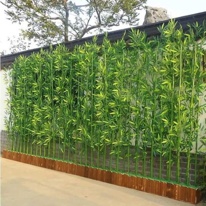Bamboo Privacy Screen seeds - Flower Plant