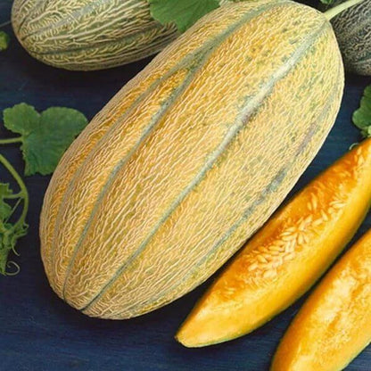 Banana Melon Seeds - Heirloom Fruit Plant for Home Gardens