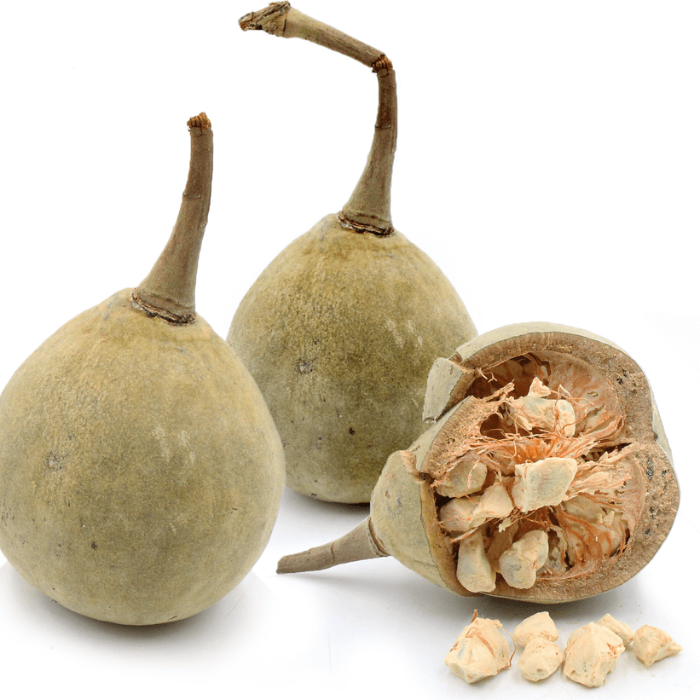 Baobab Seeds - Fruit Plant for Home Gardens