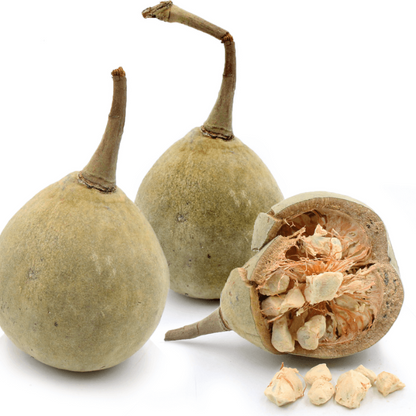 Baobab Seeds - Fruit Plant for Home Gardens