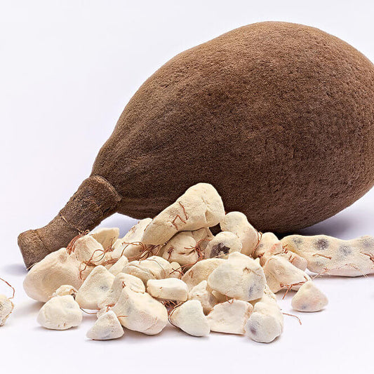 Baobab Seeds - Fruit Plant for Home Gardens