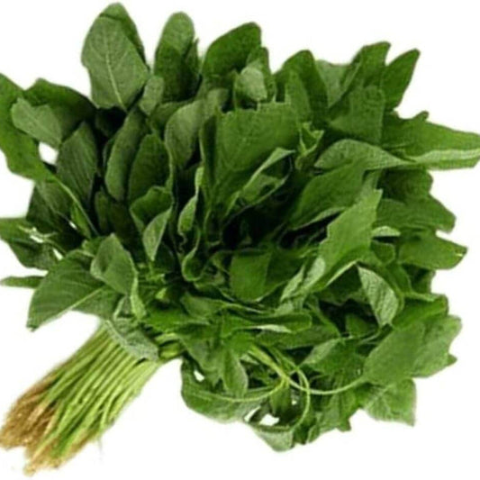 Bathua Seeds - Vegetable Plant for Home Gardens