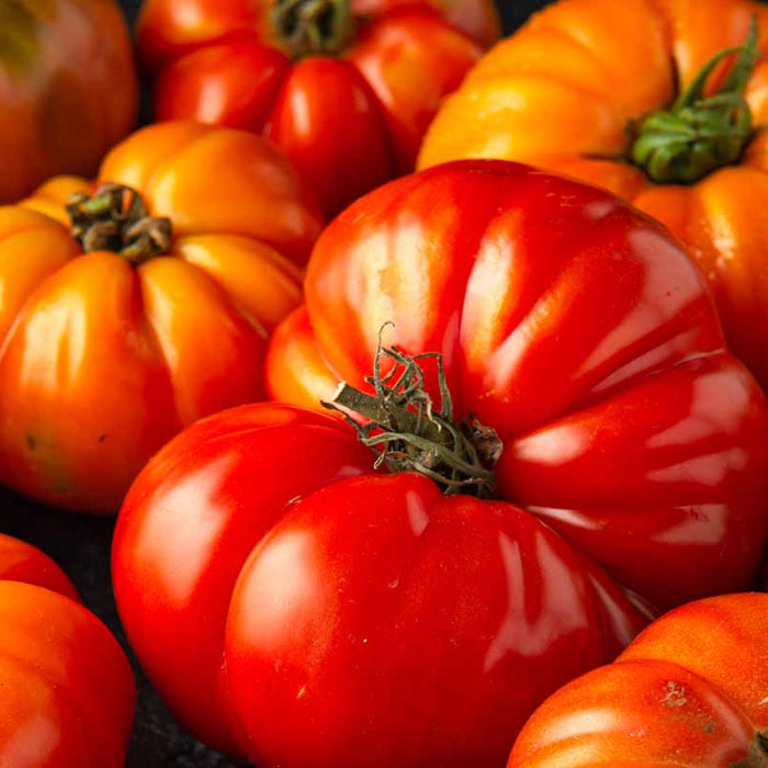 Beefsteak tomato seeds - Vegetable Plant