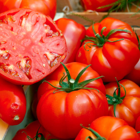 Beefsteak tomato seeds - Vegetable Plant