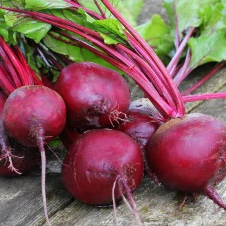 Beetroot Seeds - Heirloom Vegetable Plant for Home Gardens