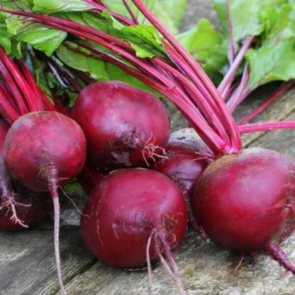 Beetroot Seeds - Heirloom Vegetable Plant for Home Gardens