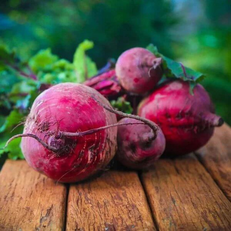 Beetroot Seeds - Heirloom Vegetable Plant for Home Gardens