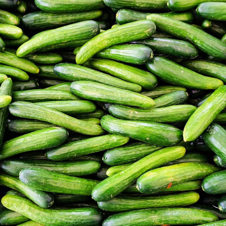 Beit Alpha Persian Cucumber seeds