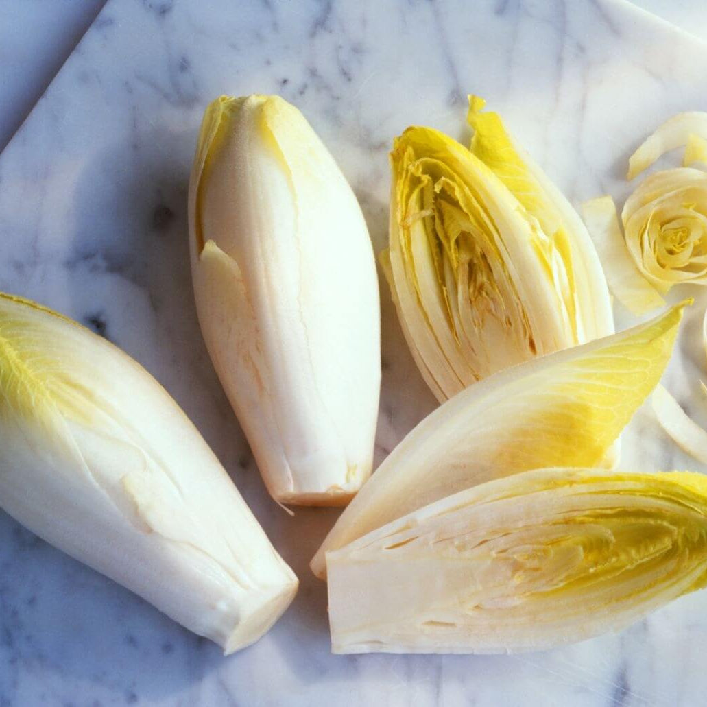 Belgian Endive Seeds