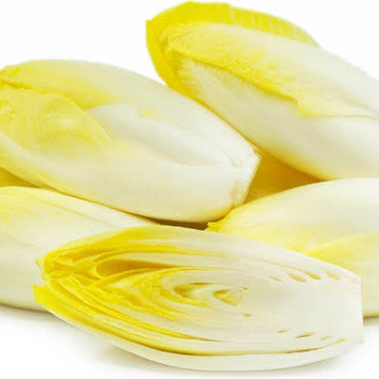 Belgian Endive Seeds