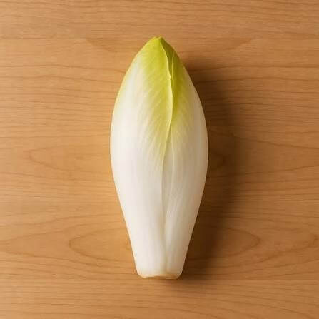 Belgian Endive Seeds