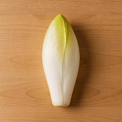 Belgian Endive Seeds
