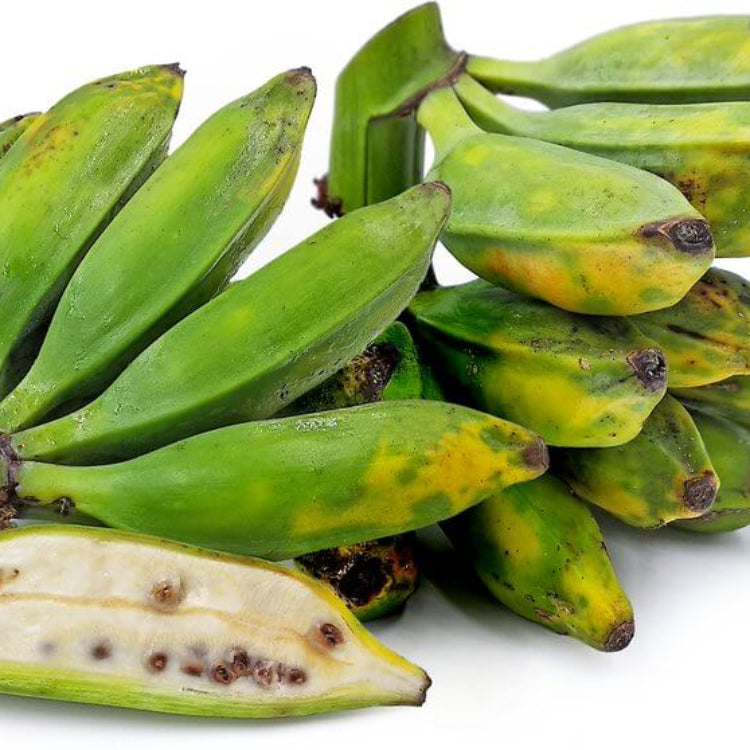 Big Banana Seeds - Heirloom Fruit Plant for Home Gardens