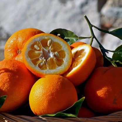 Bitter Orange Seeds 