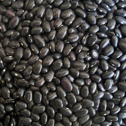 Black Bean Seeds - Vegetable Plant