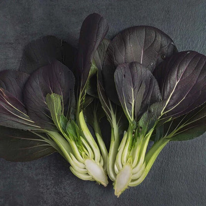 Black Bok Choy Seeds