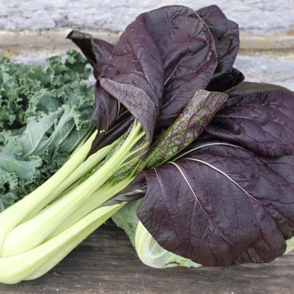 Black Bok Choy Seeds