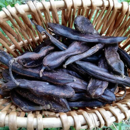 Black Carob Seeds