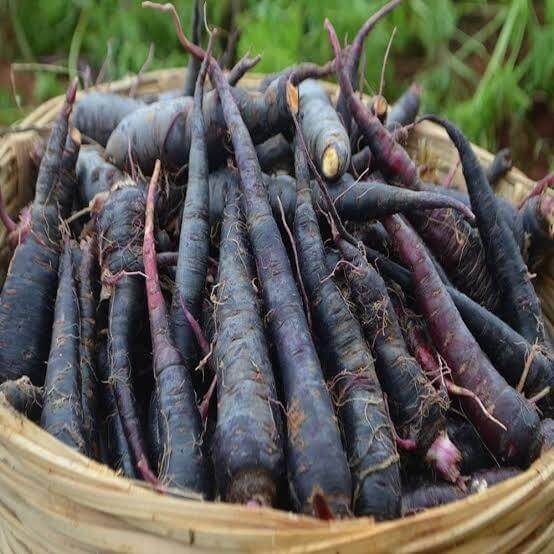 Black Carrot Seeds
