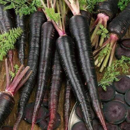 Black Carrot Seeds