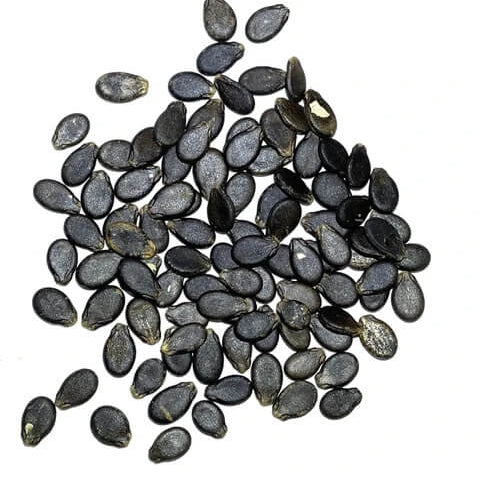 Black Diamond Watermelon Seeds