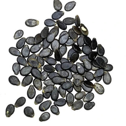 Black Diamond Watermelon Seeds
