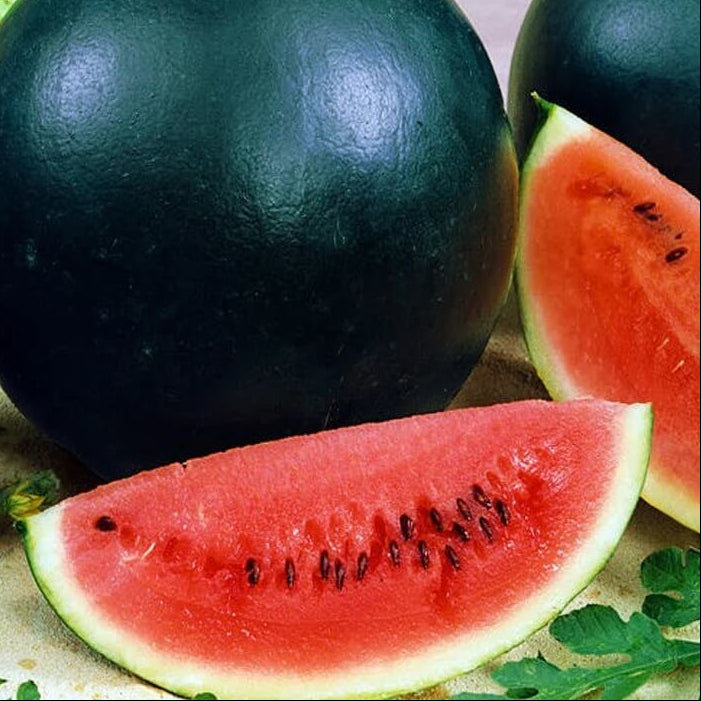 Black Diamond Watermelon Seeds