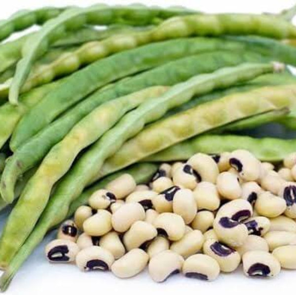 Black Eyed Peas Seeds For Sale