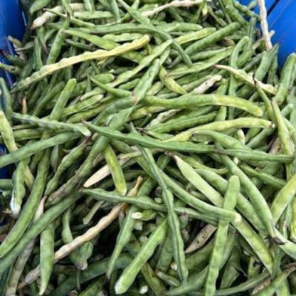 Black Eyed Peas Seeds For Sale