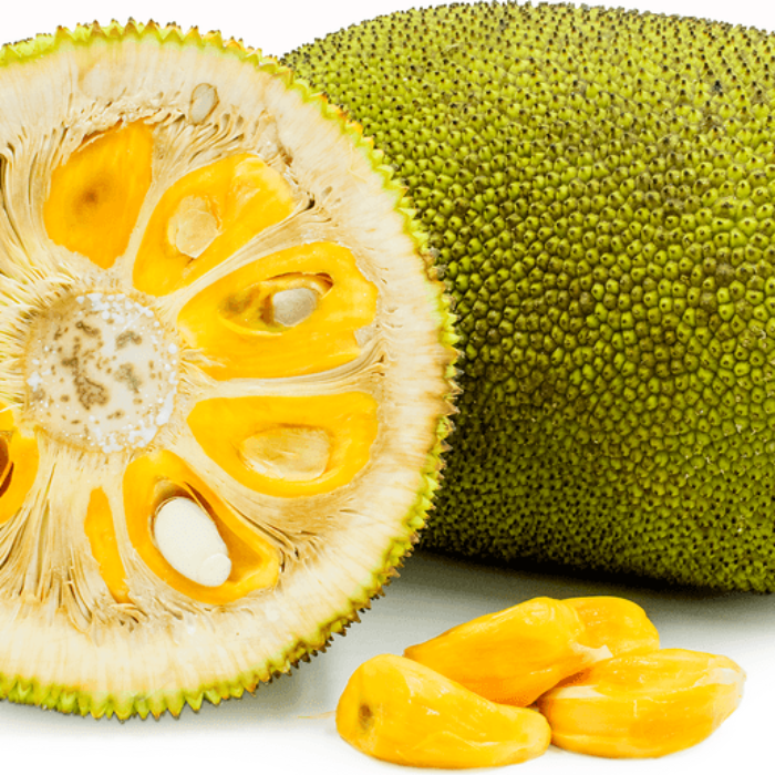 Black Gold Jackfruit Seeds