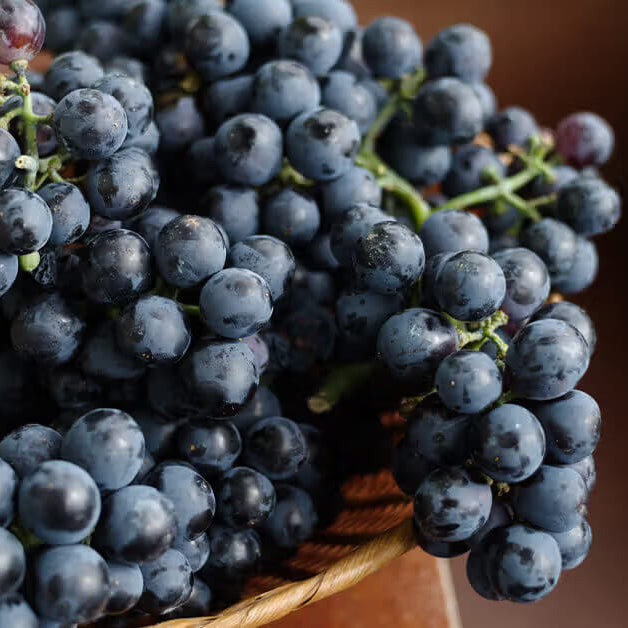 Black Grape Seeds 