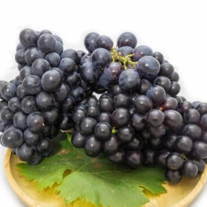 Black Grape Seeds 