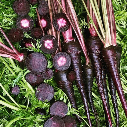 Black Nebula Carrot Seeds