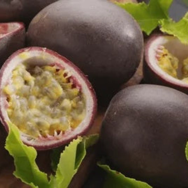 Black Passion Seeds