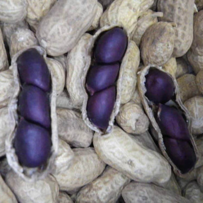 Black Peanut Seeds