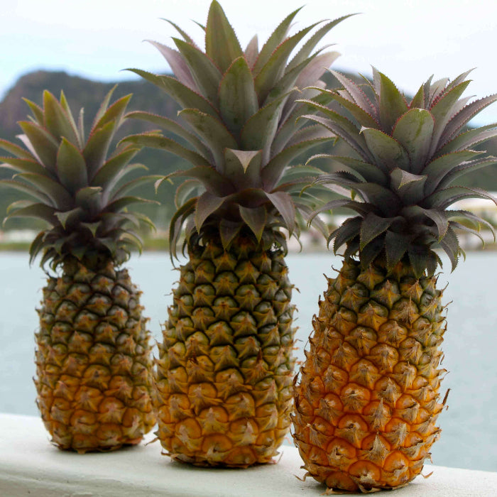 Black Pineapple Seeds