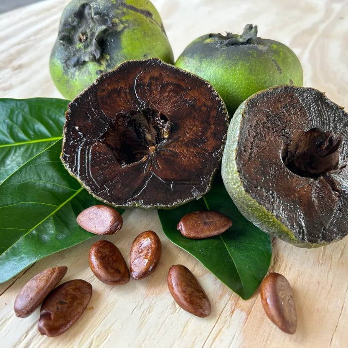 Black Sapote Seeds - Fruit Plant