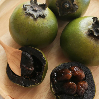Black Sapote Seeds - Fruit Plant