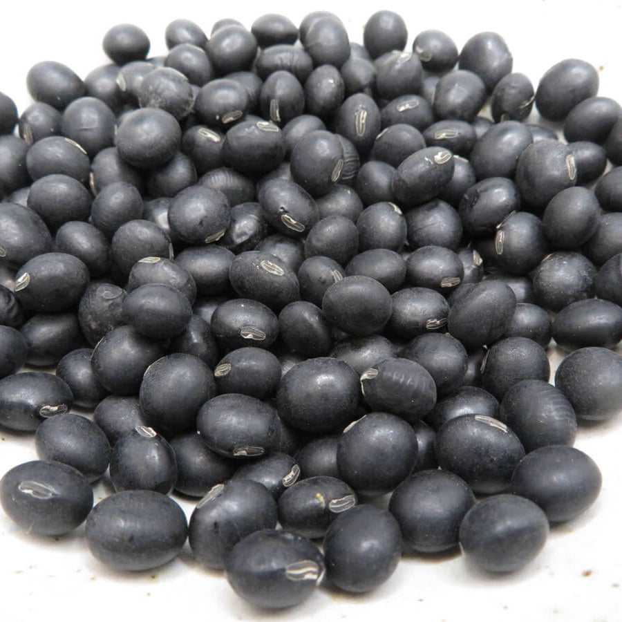 Black Soybean Seeds