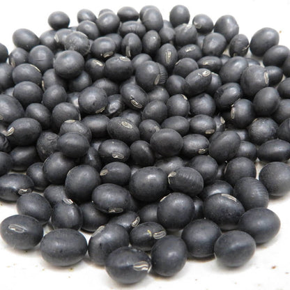 Black Soybean Seeds
