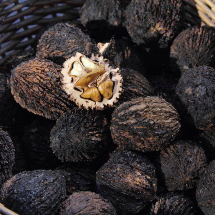 Black Walnut Seeds - Fruit Plant