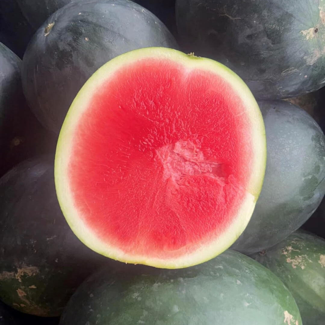 Black Watermelon Seeds