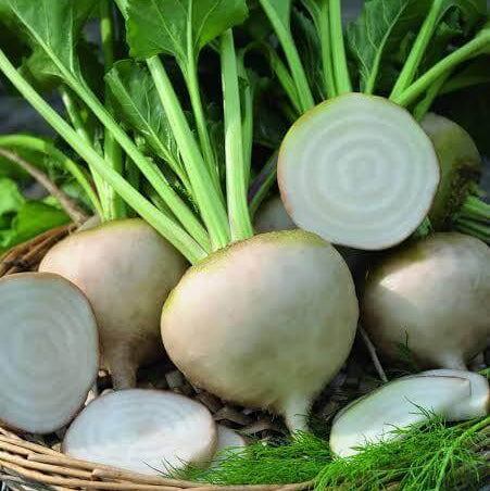 Blankoma Beet Seeds