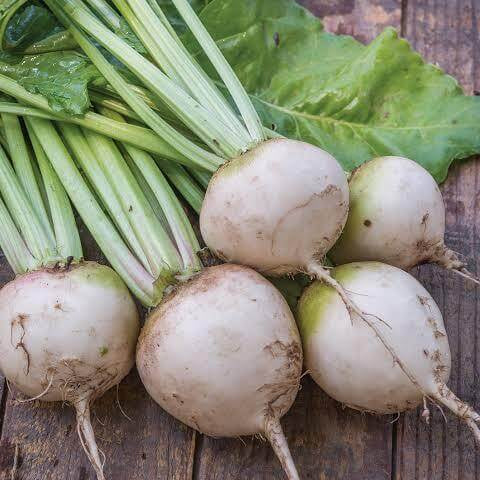 Blankoma Beet Seeds