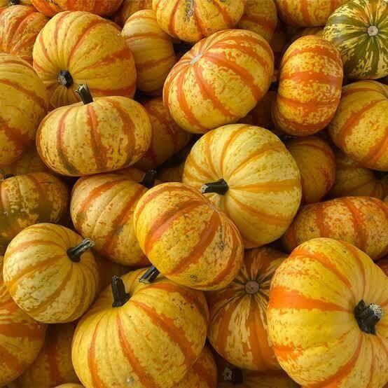 Blaze Pumpkin Seeds