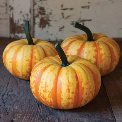 Blaze Pumpkin Seeds